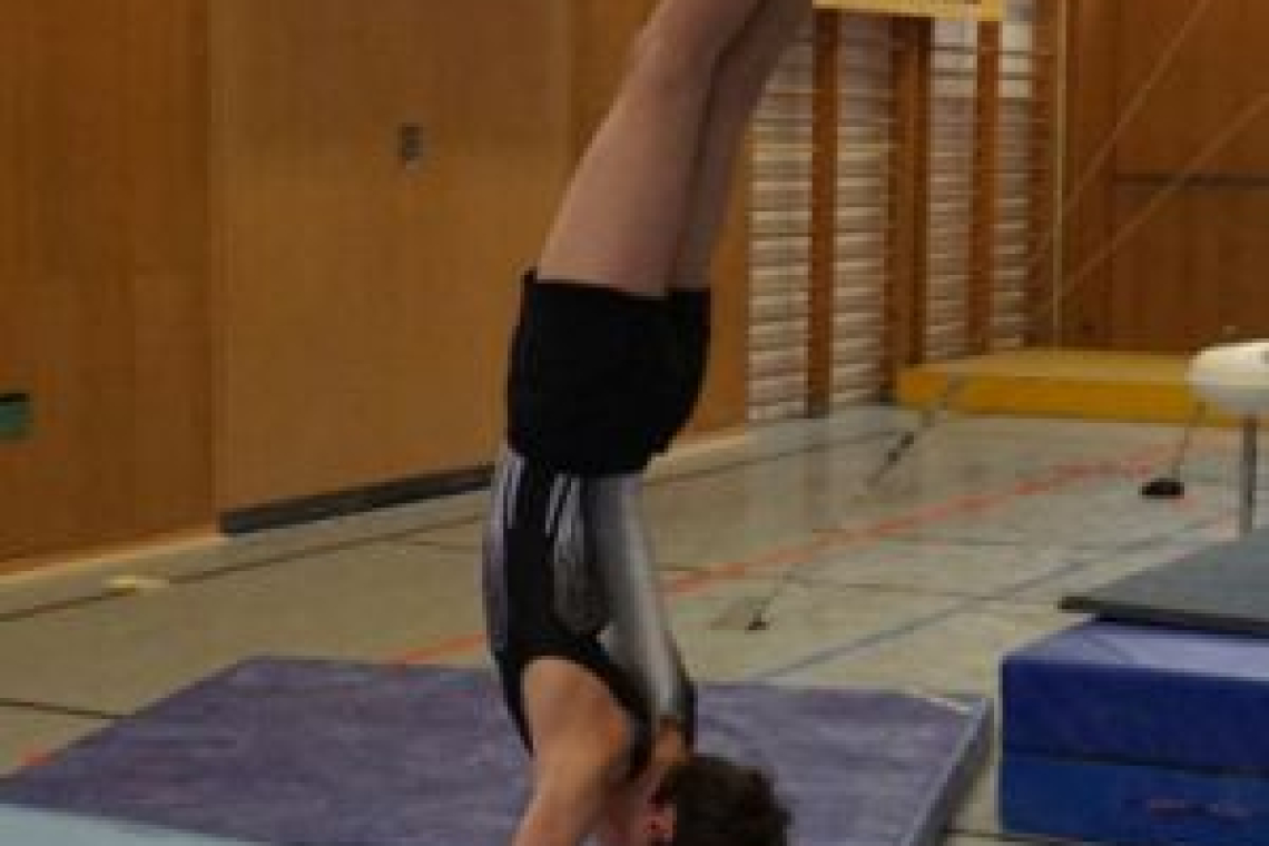 Leo Leitz - Turnen